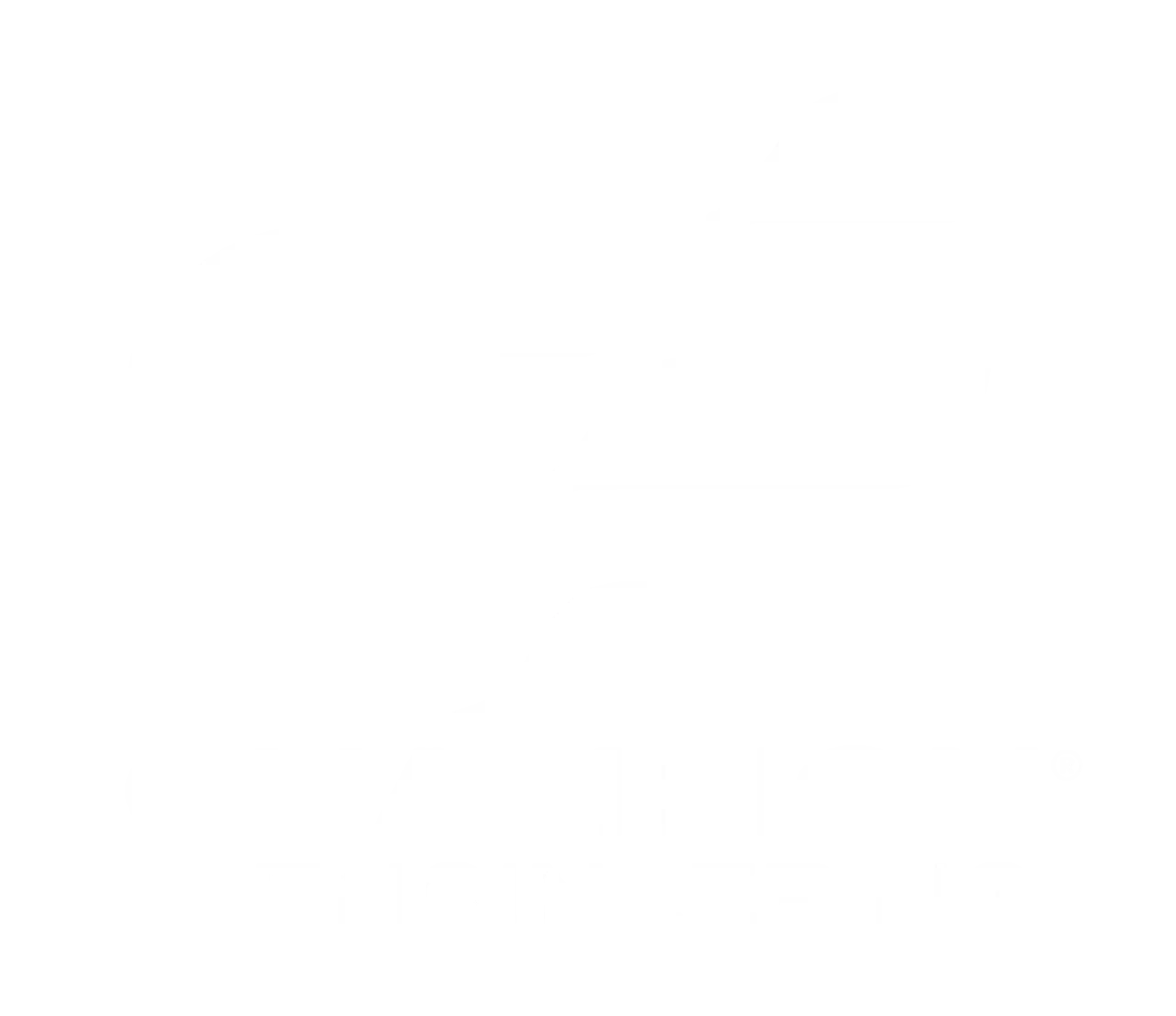 Champion Engineering Limited