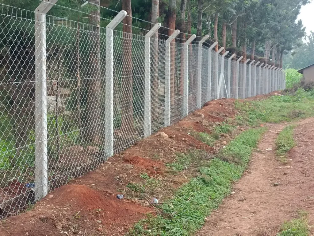 chainlink boundary fencing