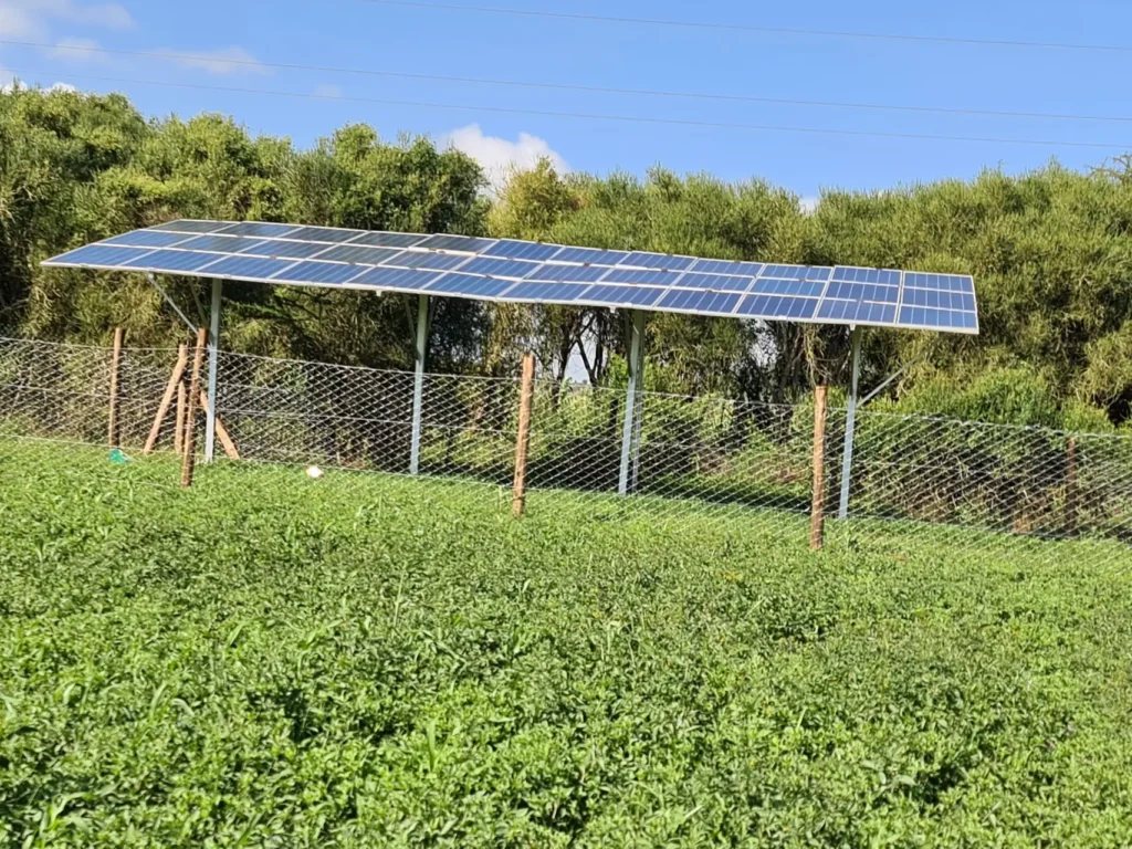 solar panels